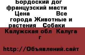 Бордоский дог ( французский масти)  › Цена ­ 50 000 - Все города Животные и растения » Собаки   . Калужская обл.,Калуга г.